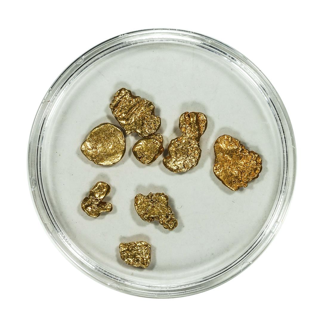 Lot of Gold Nuggets 3.38 Grams Total Weight: One Lot of Gold Nuggets 3.38 Grams Total Weight.