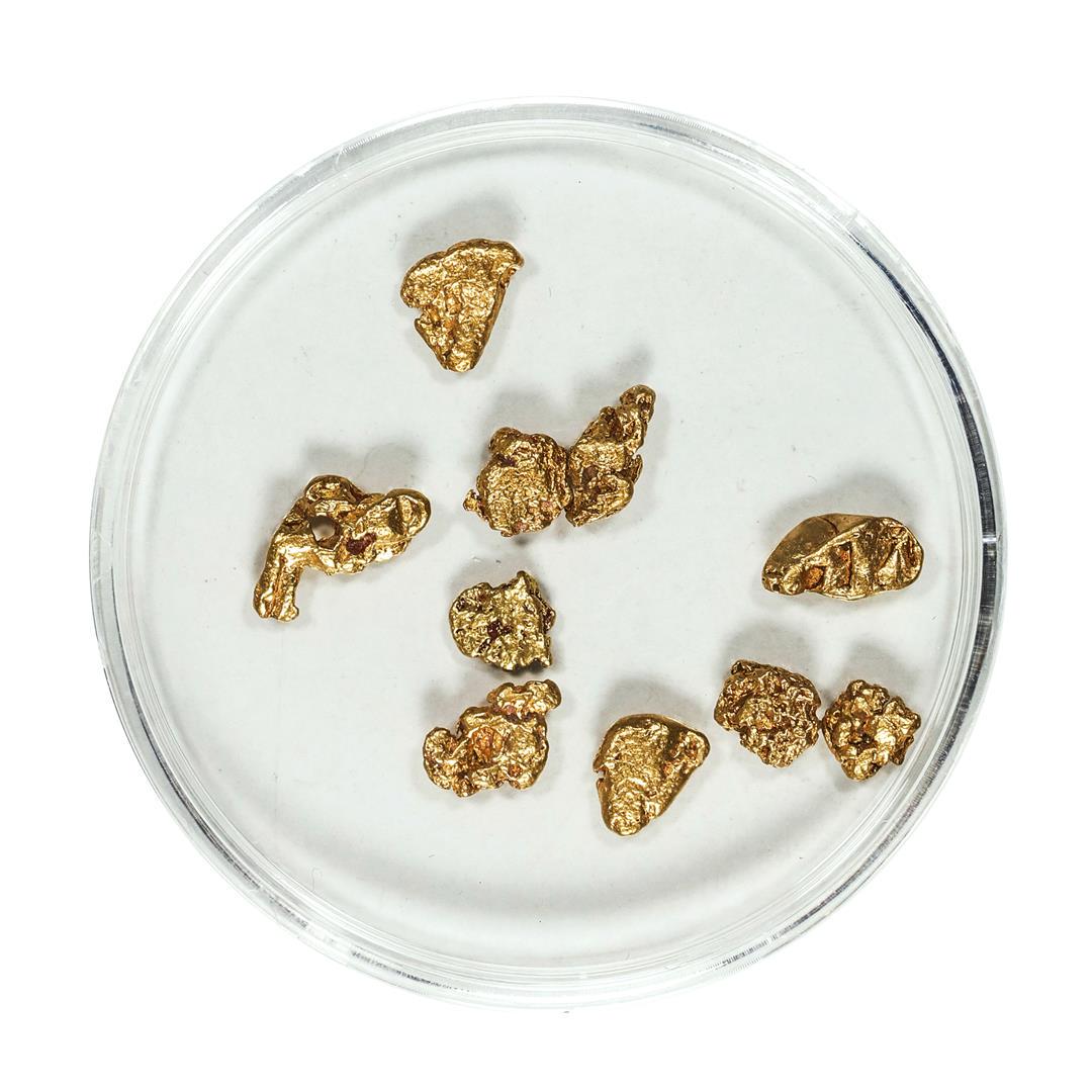 Gold Nuggets 3.18 Grams Total Weight: One Gold Nuggets 3.18 Grams Total Weight.