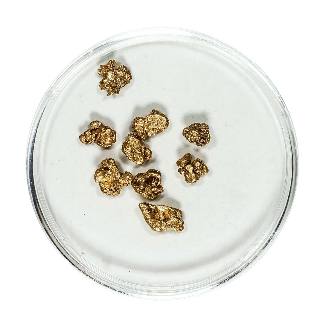 Gold Nuggets 2.42 Grams Total Weight: One Gold Nuggets 2.42 Grams Total Weight.