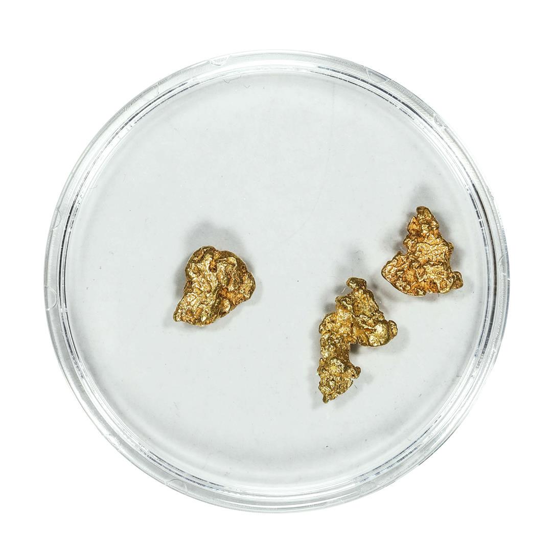 Lot of Gold Nuggets 2.17 Grams Total Weight: One Lot of Gold Nuggets 2.17 Grams Total Weight.