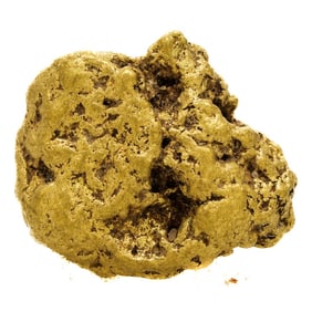 428) 1.62 Gram Sinaloa, Mexico Gold Nugget