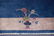 ANTIQUE CHINESE RUG IN BLUE COLOR, circa 1920-1930. - 5