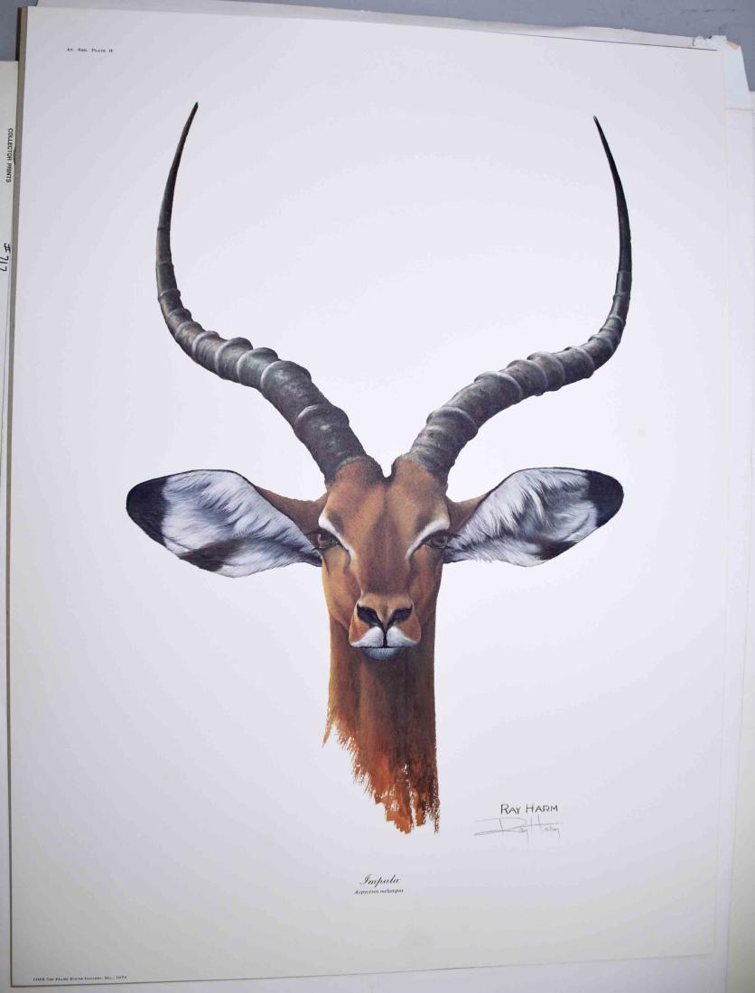 RAY HARM, LITHOGRAPH COLLECTION, each pencil signed and (1 of 8)