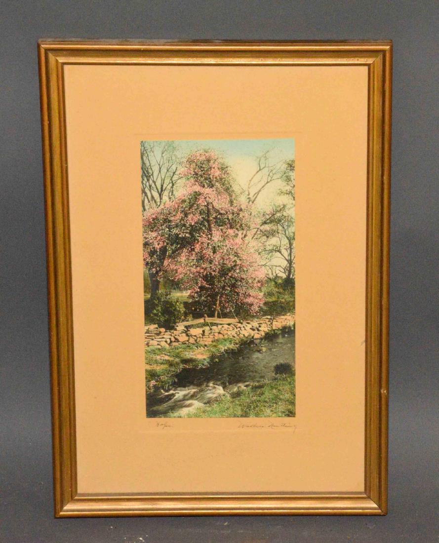 WALLACE NUTTING PRINT, ''Hope'', signed. Frame: 16''H x: WALLACE NUTTING PRINT, ''Hope'', signed. Frame: 16''H x 11''W.