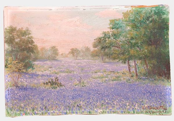 FIELD OF PURPLE FLOWERS OIL ON BOARD. S