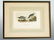 2594: AUDUBON OCTAVO PURPLE SANDPIPER. 19th c