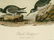 2594: AUDUBON OCTAVO PURPLE SANDPIPER. 19th c - 2