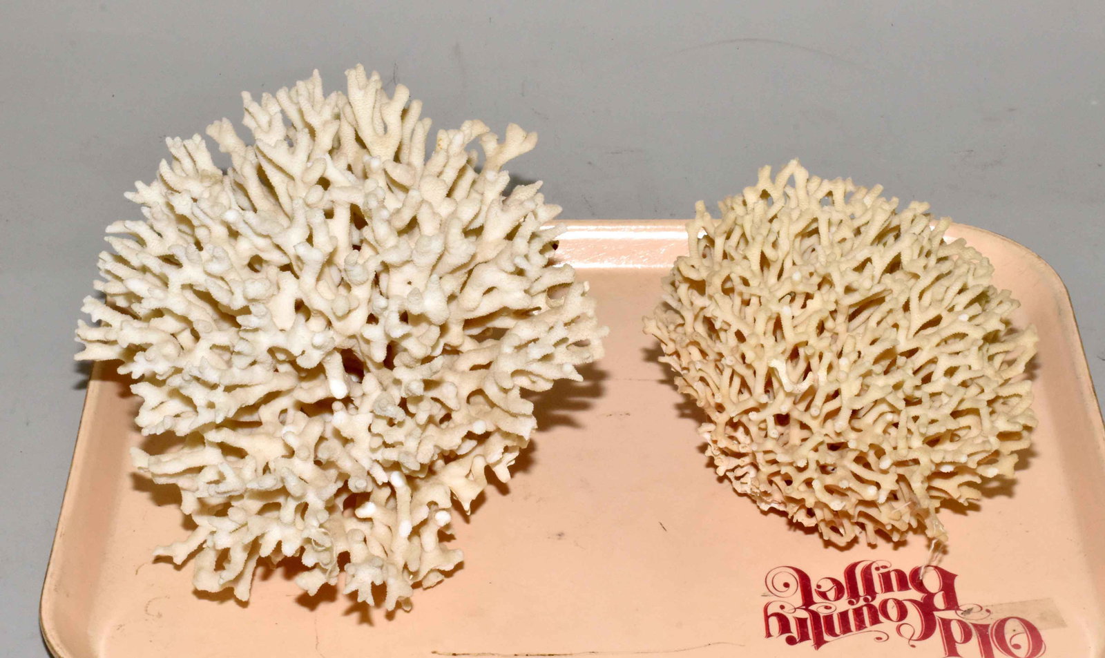 COLLECTION OF WHITE CORAL SPECIMENS (2). Largest:: COLLECTION OF WHITE CORAL SPECIMENS (2). Largest: 12''L. Estate of Stephen Totter.