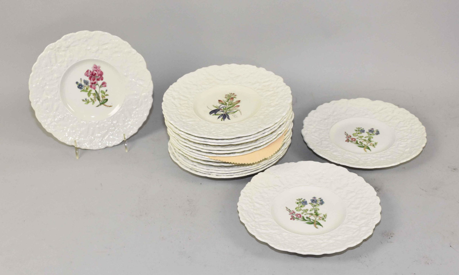 (16) ROYAL CAULDON BRISTOL IRONSTONE PORCELAIN FLORAL: (16) ROYAL CAULDON BRISTOL IRONSTONE PORCELAIN FLORAL PLATES. Fair condition. Some crazing to center design. 9'' diameter. Estate of Stephen Totter.