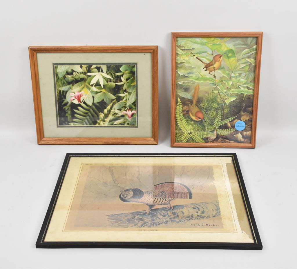 THREE PRINTS – Photo – Canada Lilly, Pair of: THREE PRINTS – Photo – Canada Lilly, Pair of Wrens, and Ruffed Grouse – Frank Beebe (damage).
