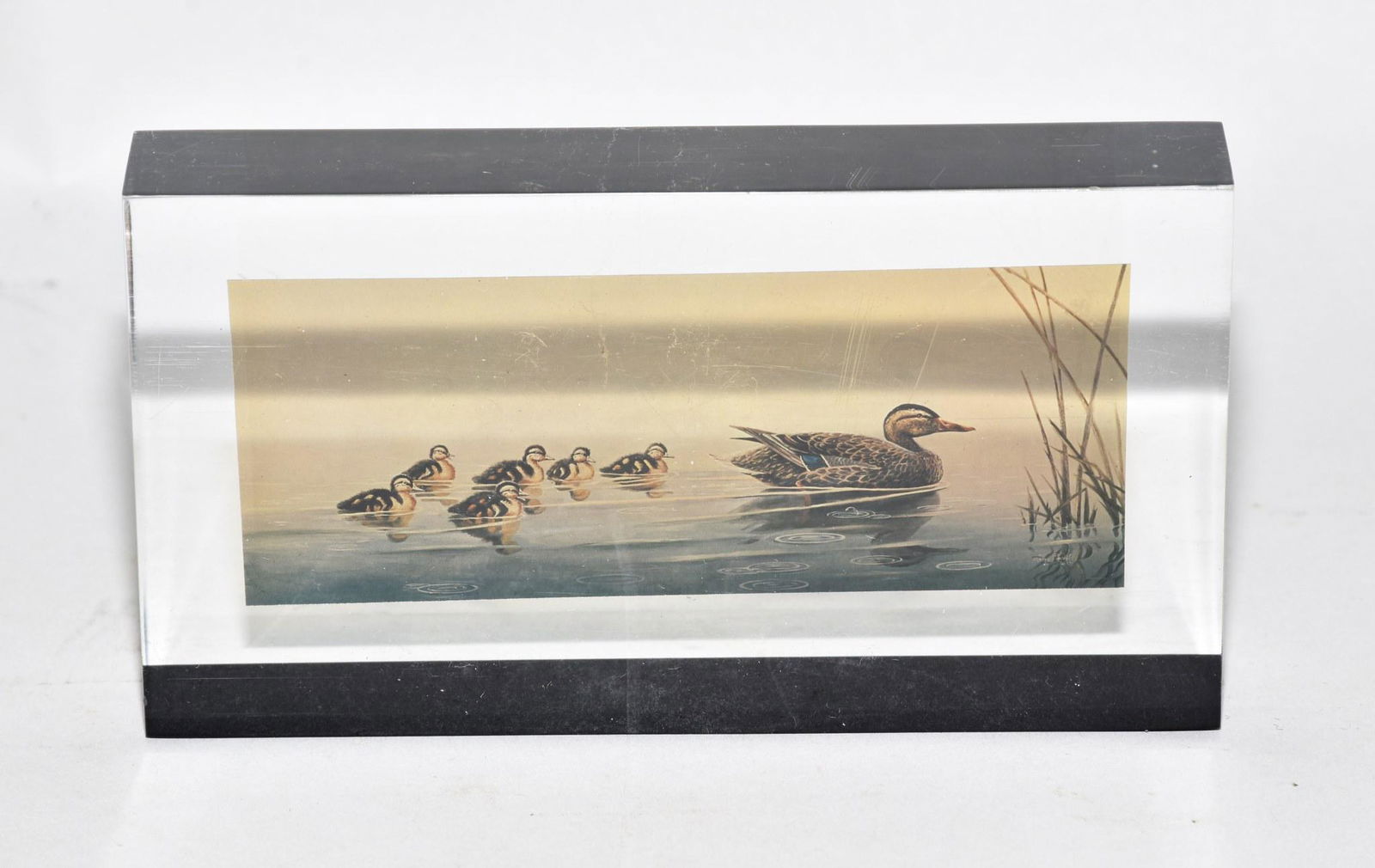 DUCKS UNLIMITED PAINTING EMBEDDED IN LUCITE (1 of 4)