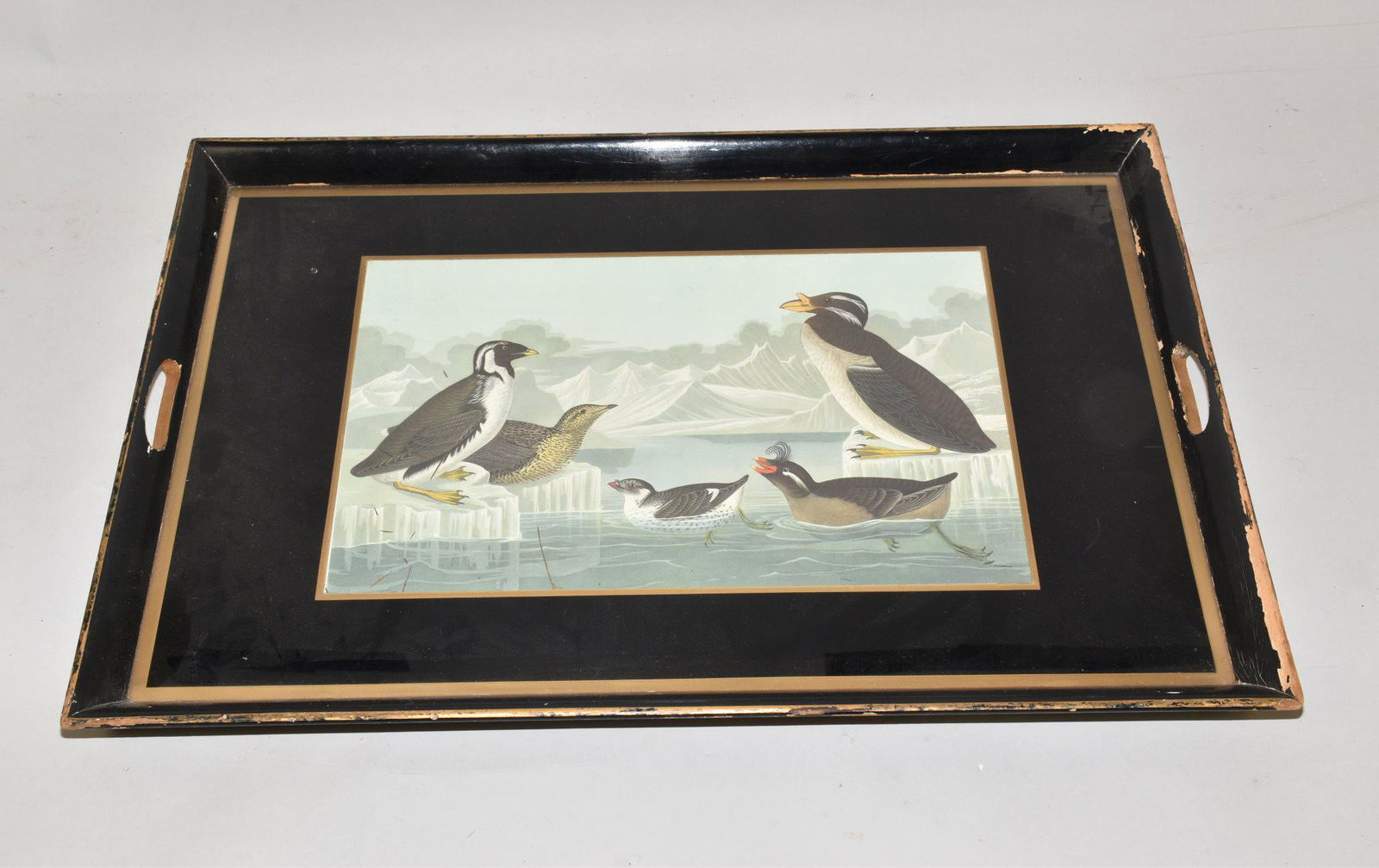 PENGUINS IN THE ANTARCTIC PRINT (1 of 3)