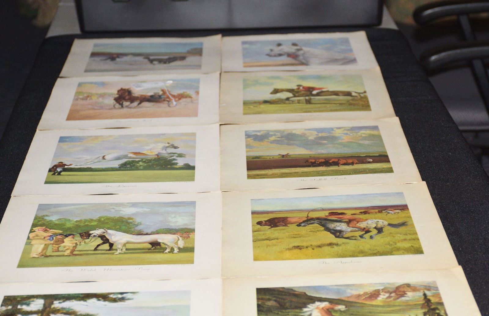 (12) SIGNED WESLEY DENNIS HORSE PRINTS (1 of 4)