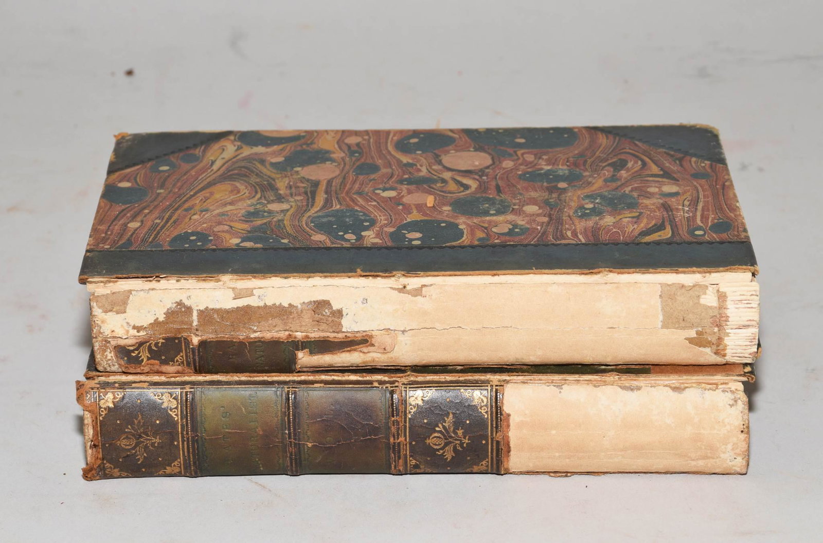 THE NATURALIST ON THE RIVER AMAZONS: "THE NATURALIST ON THE RIVER AMAZONS" BY HENRY WALTER BATES, 1863, LONDON. First edition. Two volumes with illustrations. Condition – Fair, bindings separated. Size: 7.5" x 5".