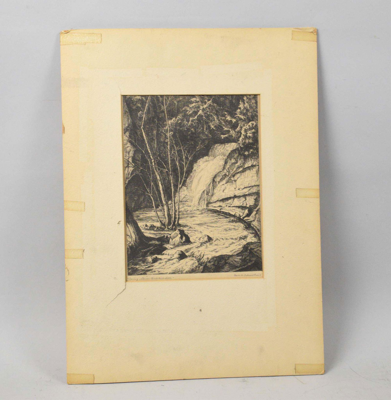 SPRING -THE LOWER BUCK HILL FALLS (1 of 7)