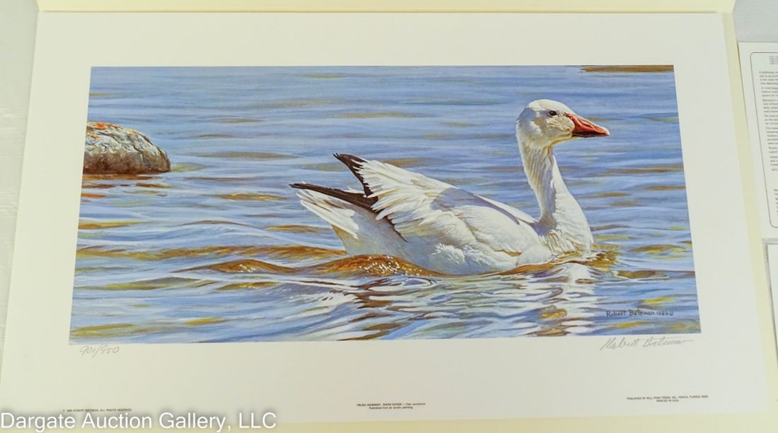 ROBERT BATEMAN 1985 PROUD SWIMMER LE PRINT (1 of 6)