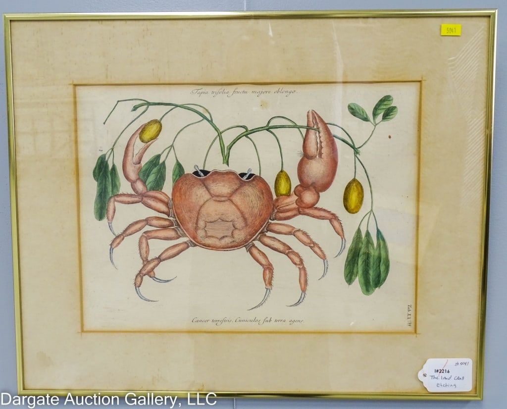 MARK CATESBY ENGRAVING LAND CRAB (1 of 6)