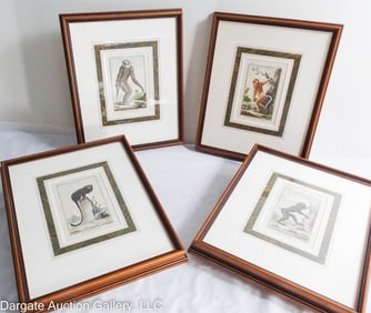 4 18th C BARRABAND MONKEY ENGRAVINGS