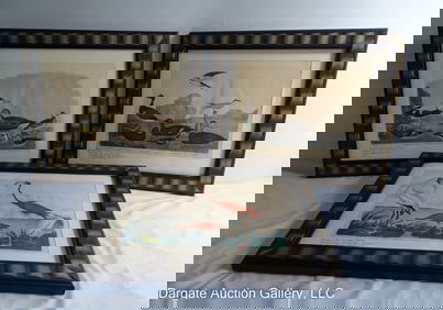 3 ALEXANDER WILSON BIRD PRINTS
