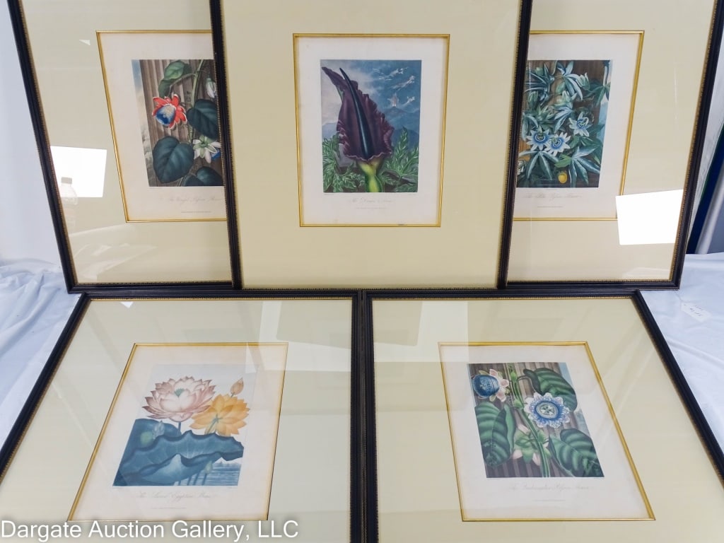 5 ROBERT JOHN THORNTON TEMPLE OF FLORA ENGRAVINGS: Publisher: Dr. Robert John Thornton (UK, 1768-1873; Artists: Peter Charles Henderson (British, 1791-1829) and Philip Reinagle (British, 1749-1833); Dates: 1811 & 1812; Titles Include: 1811 The Blue Pa