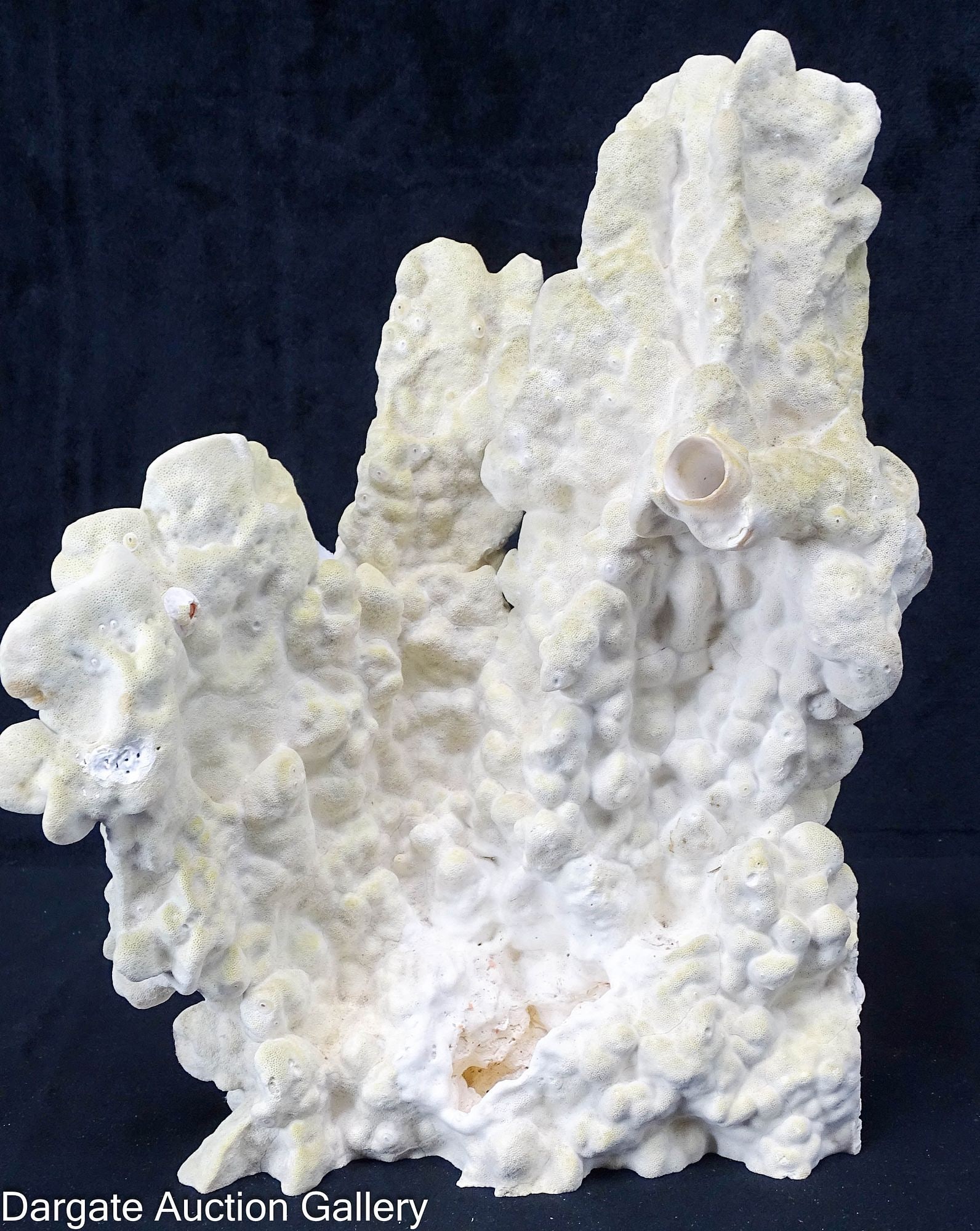 GREEN FIRE CORAL SPECIMEN VINTAGE (1 of 2)