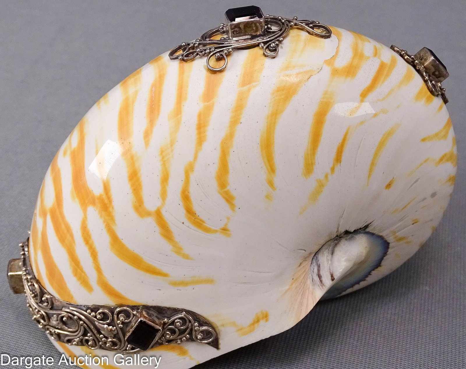 TIGER NAUTILUS SHELL ADORNED with SILVER AND GARNETS (1 of 6)