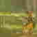 item-268796=2