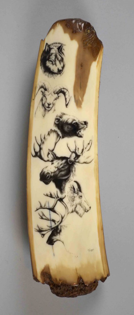ALVIN ANINGAYBU SCRIMSHAW TOOTH FRAGMENT - Depicts a: ALVIN ANINGAYBU SCRIMSHAW TOOTH FRAGMENT - Depicts a wolf, ram, bear, moose, mountain goat and an elk; signed lower right; Measures: 8.75''H x 2.25''W.