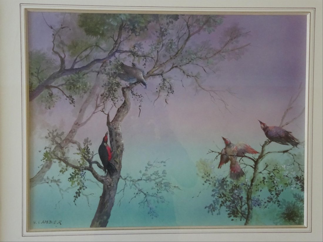 Tableaux modernes: Guy CAMBIER (c.1923-?) Quatre volatiles dans des arbres Aquarelle et gouache sur papier Signe en bas gauche 49 x 64 cm ( vue)