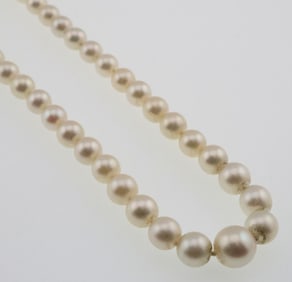 18k Gold Clasp Mikimoto Pearl Necklace