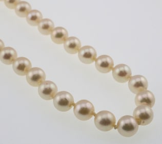 10k Gold Clasp Mikimoto Pearl Necklace
