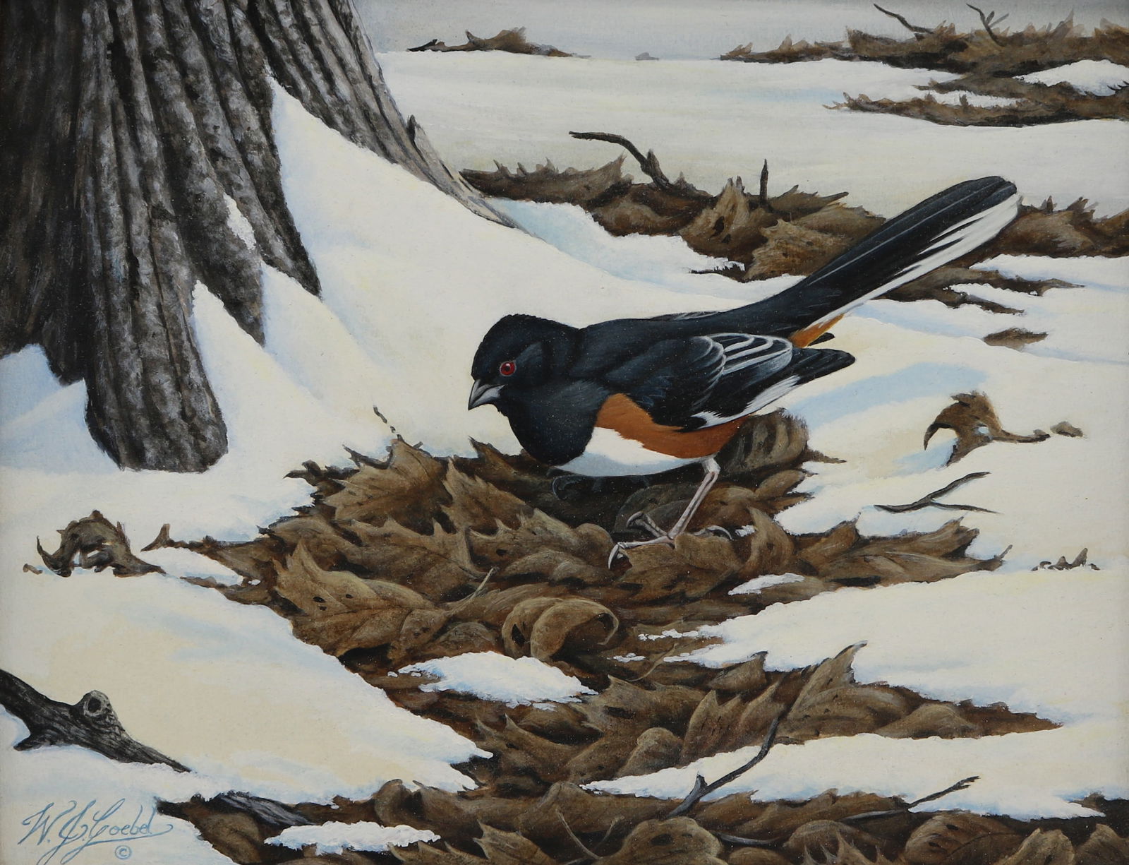Wilhelm Goebel Oil on Board Bird Painting of Rufous-Sided Towhee: Sight size 10 1/2 inches by 13 1/2 inches. Good condition.