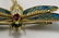 18k YG Plique a Jour Enamel Diamond & Ruby Brooch
