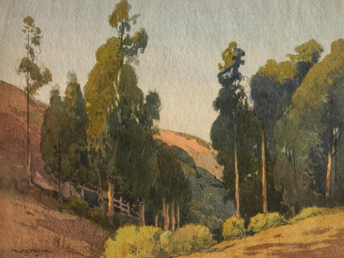 William S. Rice watercolor (1 of 4)