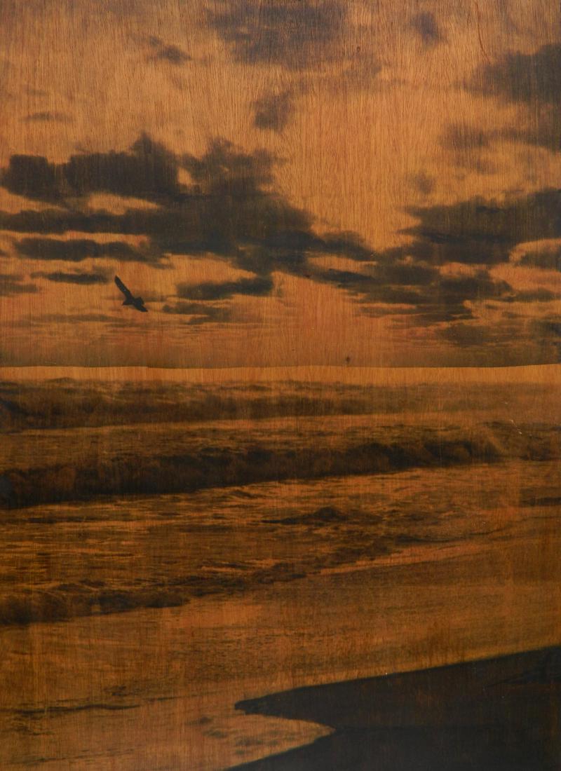 Robert Bery silver emulsion on wood (1 of 4)