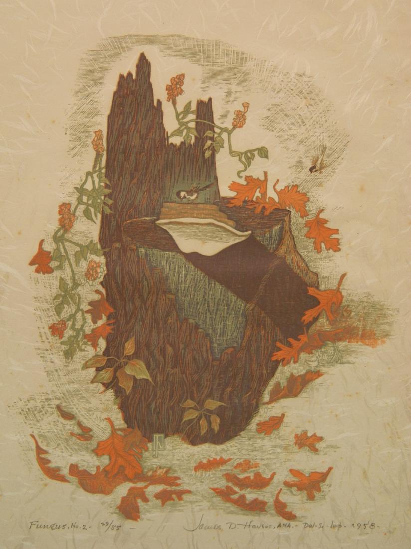 James Dexter Havens wood engraving (1 of 4)