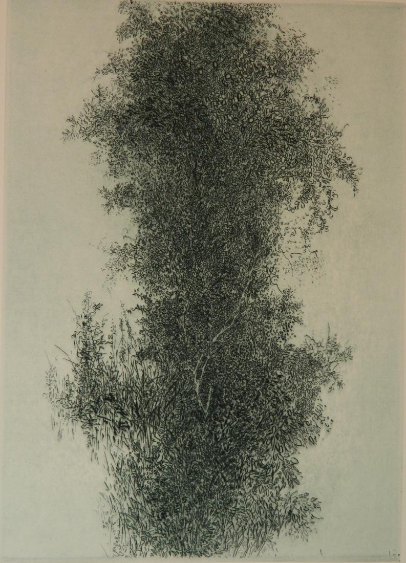 Gabor Peterdi etching and engraving (1 of 4)