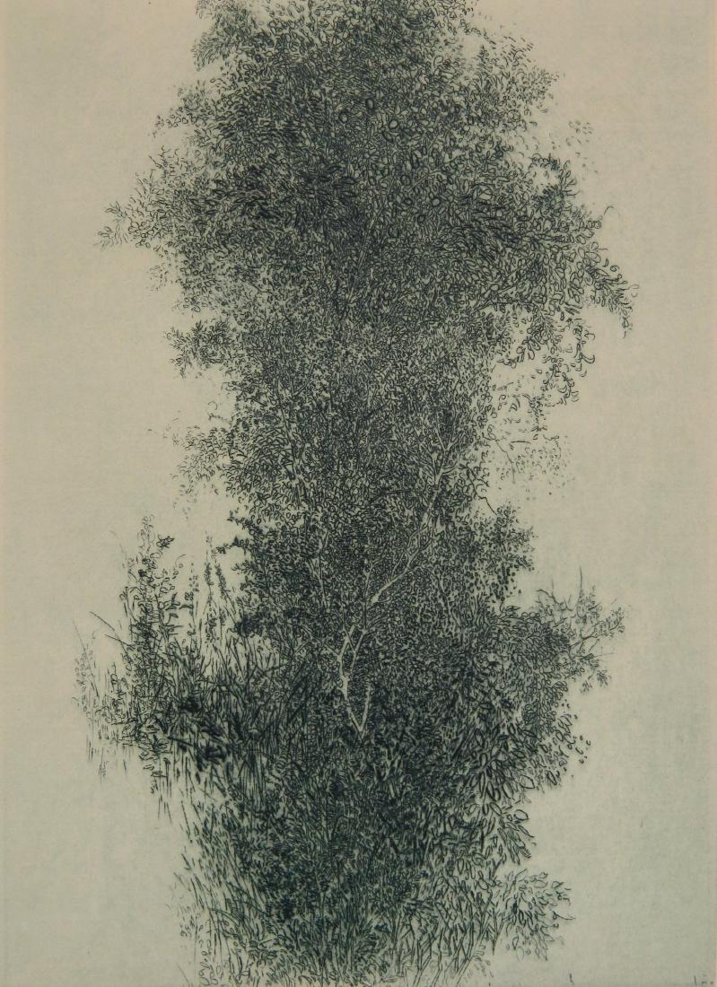 Gabor Peterdi etching and engraving (1 of 5)