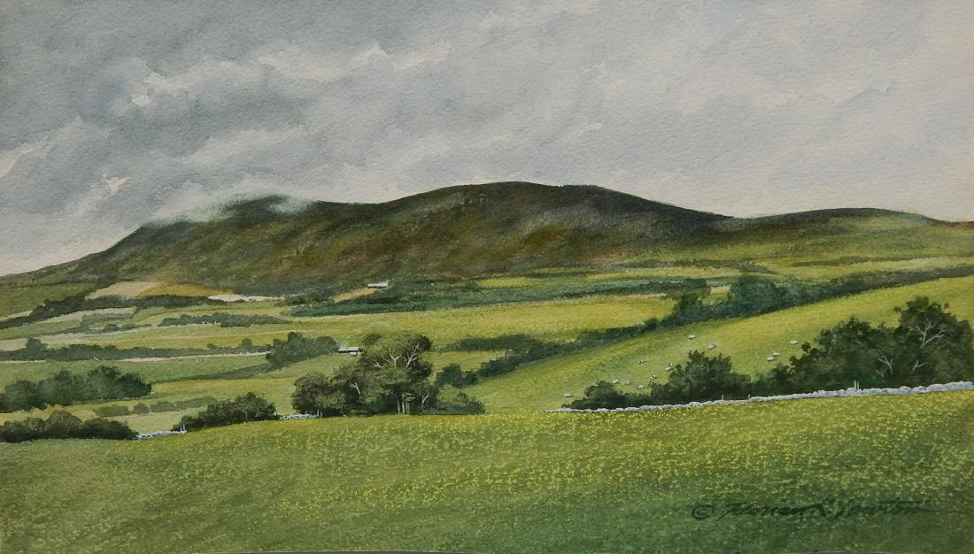 Florian Lawton watercolor (1 of 6)