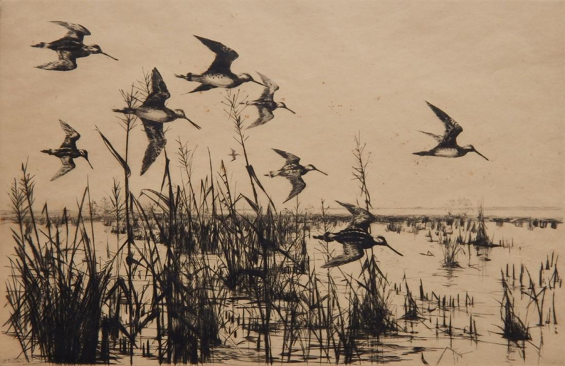 Richard Bishop drypoint (1 of 4)