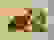 item-57940033=2