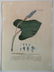 Johan Jakob Haid 3 botanical engravings - 6