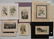 24 Historical and botanical prints