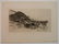 24 Historical and botanical prints - 2