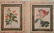 24 Historical and botanical prints - 4