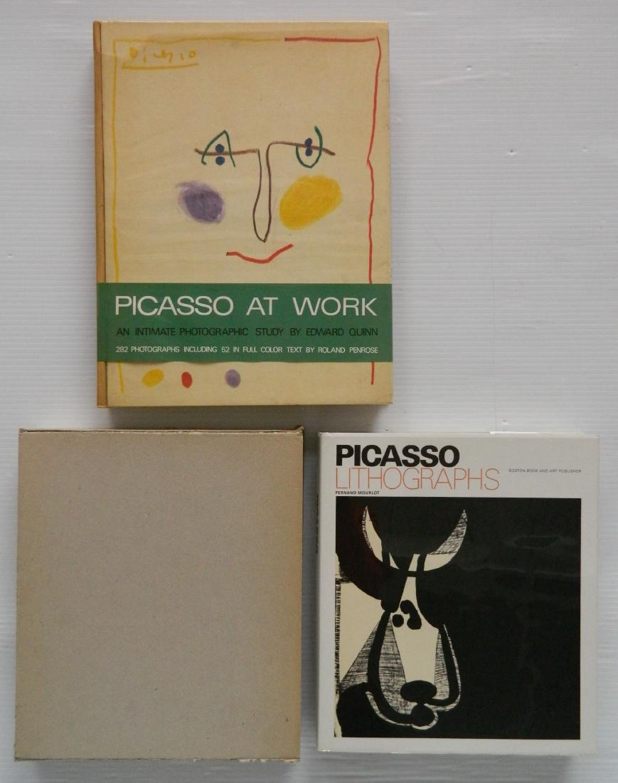 2 Books on Pablo Picasso (1 of 1)