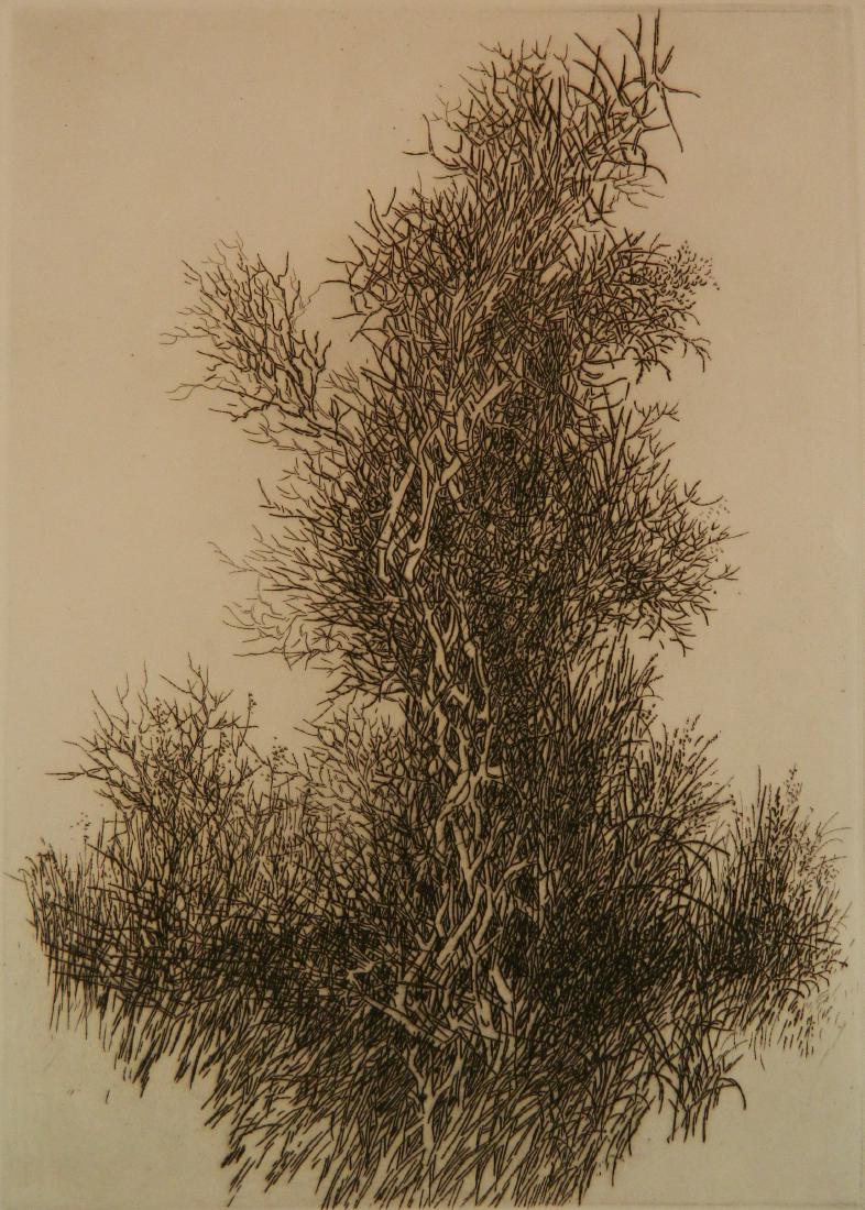 Gabor Peterdi etching (1 of 4)