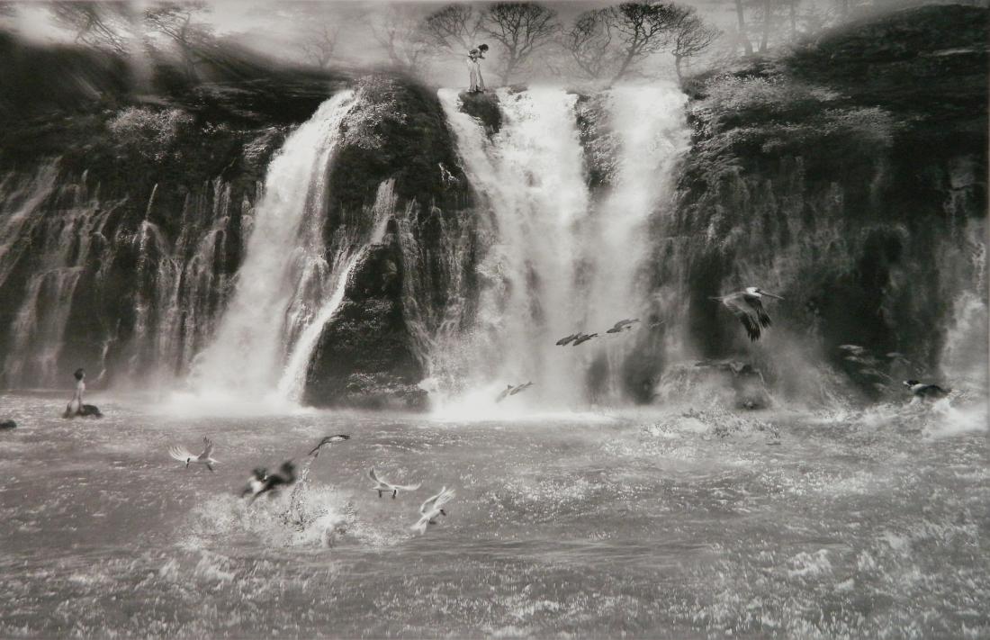 Peter Milton digital print: Peter Milton (American 1930- )- ''Waterfall'' (Milton 133d)- digital print, 2010, signed, titled, dated and numbered 9/90 in pencil, very good condition. 18 x 27 7/8''