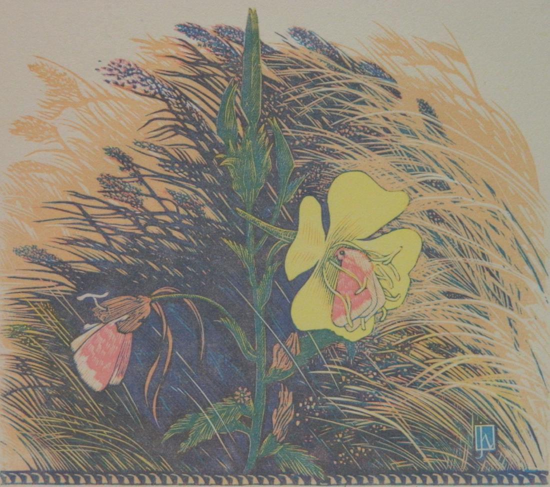 James D. Havens wood engraving: James D. Havens (American 1900-1960)- ''Evening Primrose Moths''- wood engraving in color, signed, dated, titled and annotated 'Sc-Imp' in pencil. 5 7/16 x 6 3/8''