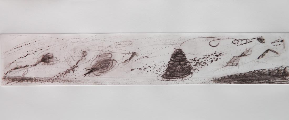 Anne Neely drypoint: Anne Neely (American 1946- )- ''Whirlis''- drypoint, 1998, signed, dated and annotated in pencil, Plate III from the 'Seven Landscapes for the Millenium'', regular edition 15, very good condition. 4 x